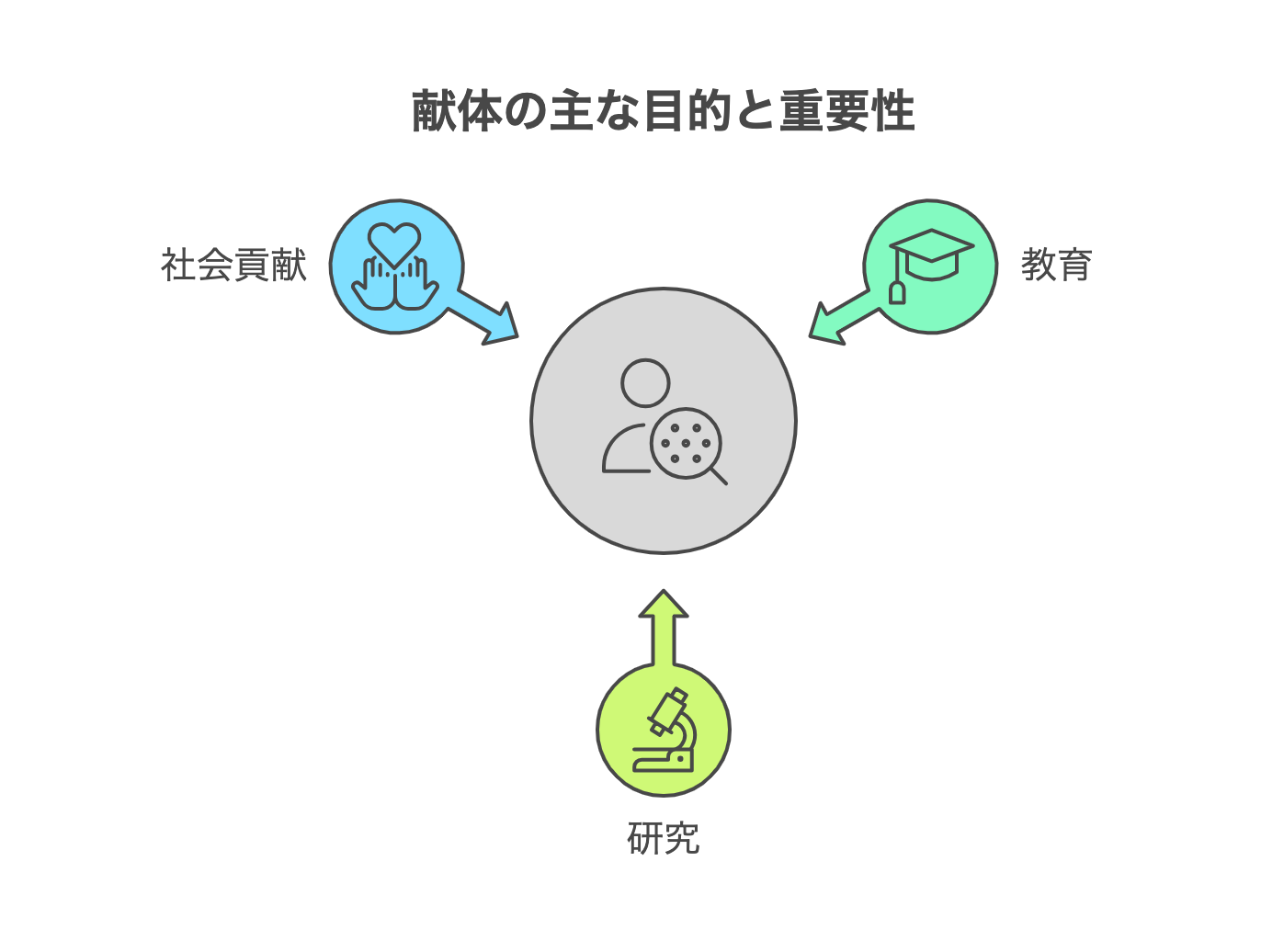 献体の主な目的と重要性